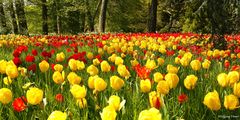 und weil`s so schön ist .................