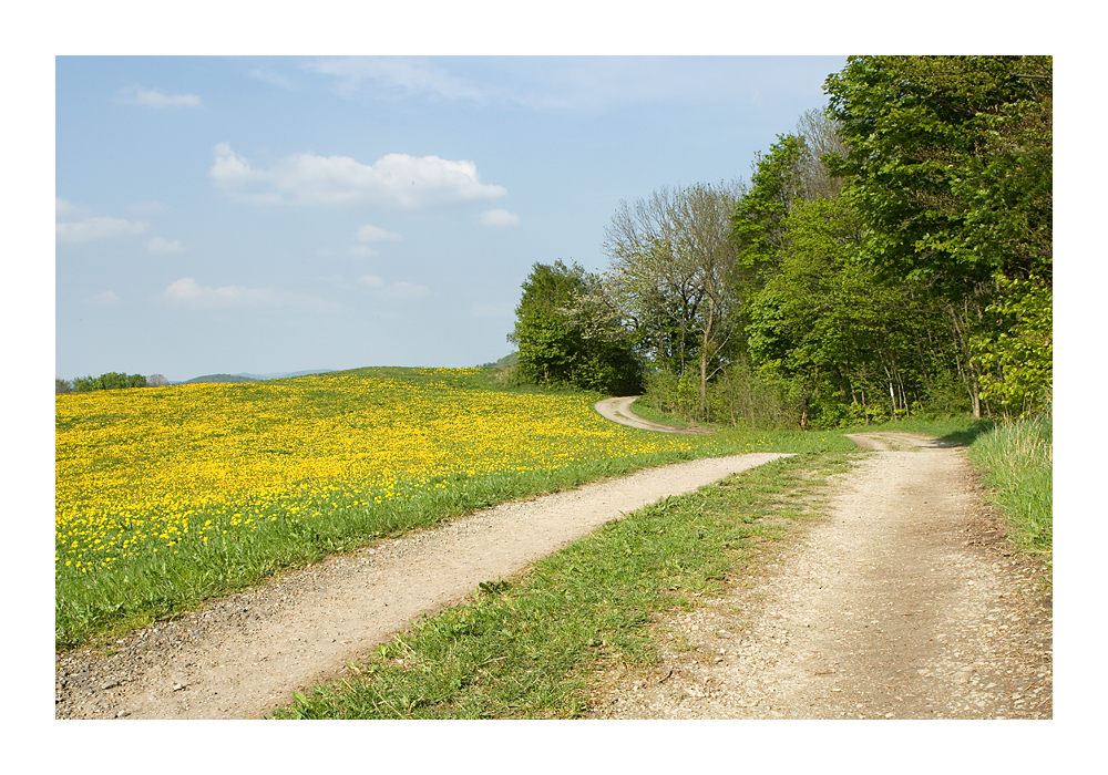 ...und weiter führt mich der Weg...