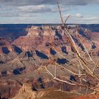 Und weiter im Grand Canyon