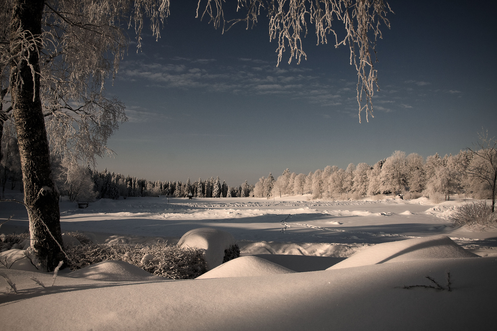 ...und weiterhin Winter