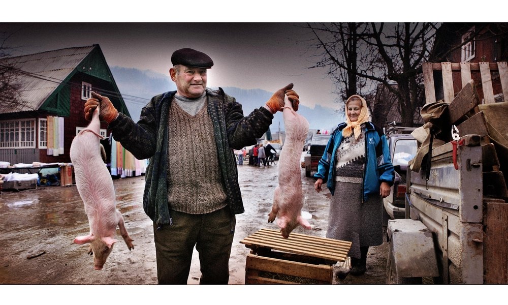 und welches schweinderl hätten's gerne?