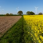 ... und wenn der Bauer nicht wär - Ackerbauer - Rapsbauer - Windbauer