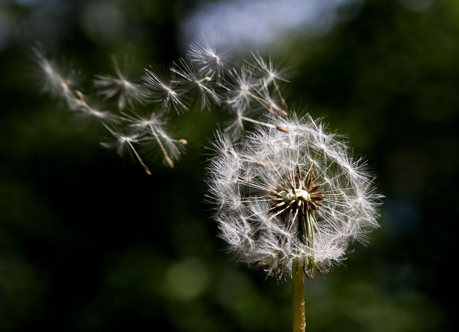 Und wenn der Wind bläst, geht es auf die Reise