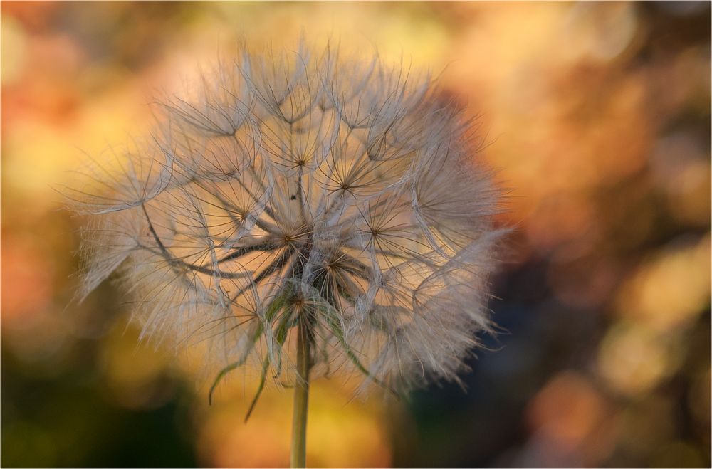 Und wenn der Wind sich dreht...