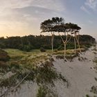 „Und wenn es nicht ums Jagen wär, als früh im Wald zu streifen“