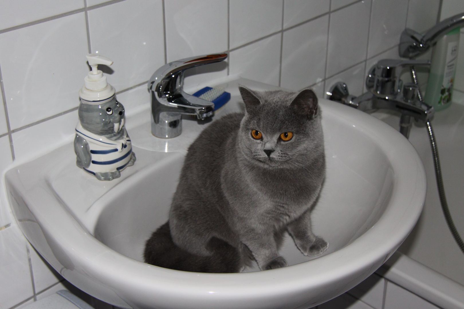 Und wer dreht jetzt den Wasserhahn auf ?