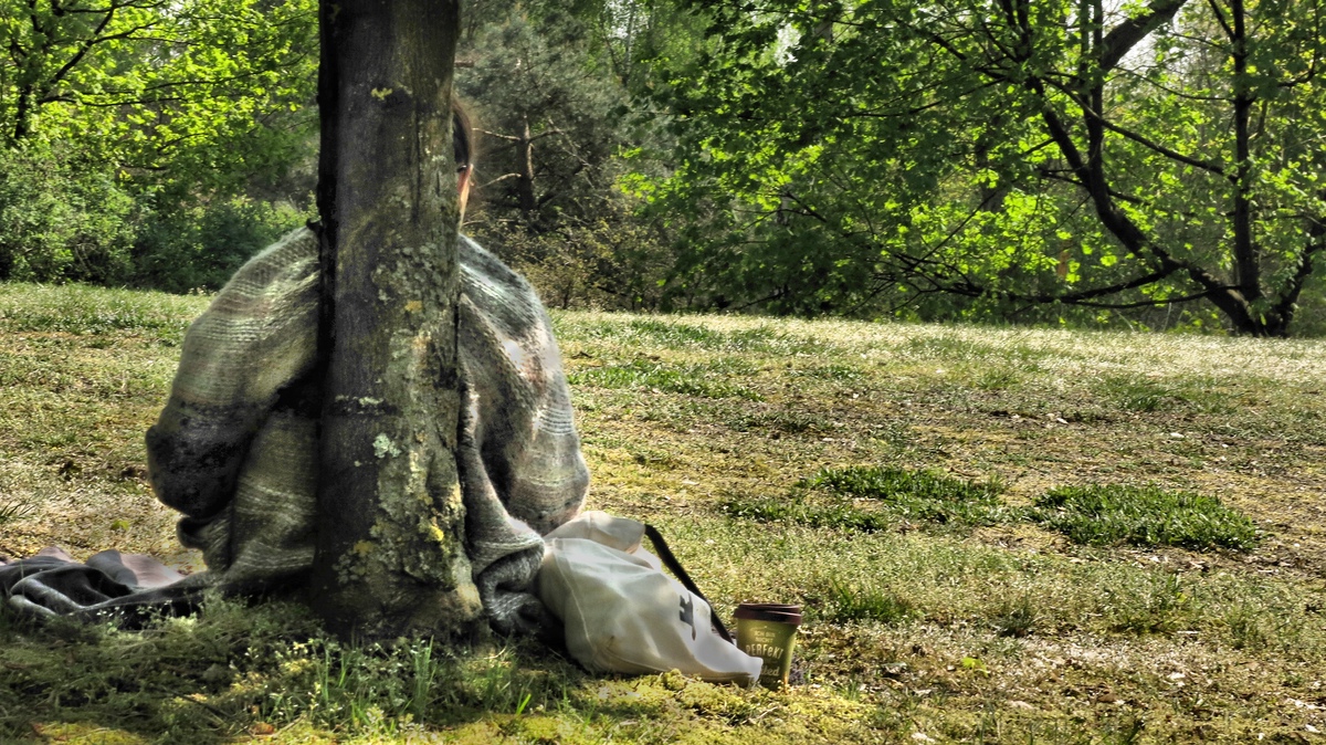 ... und wer lieber alleine sitzt sucht sich einen Baum.