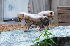 Und wie geht es jetzt wieder da runter?