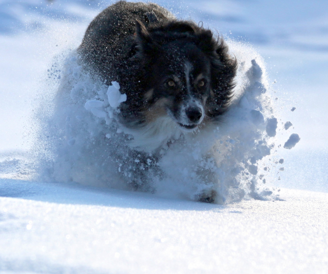 ...und wie ich den Schnee liebe