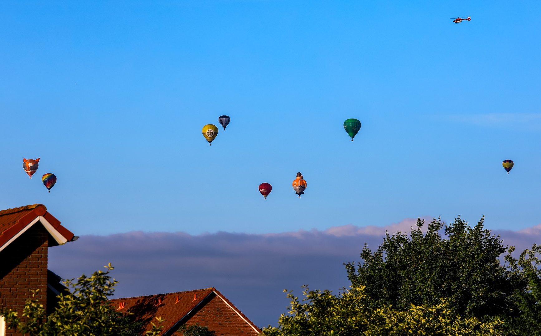 ….und wie ich so aus dem Fenster sehe….