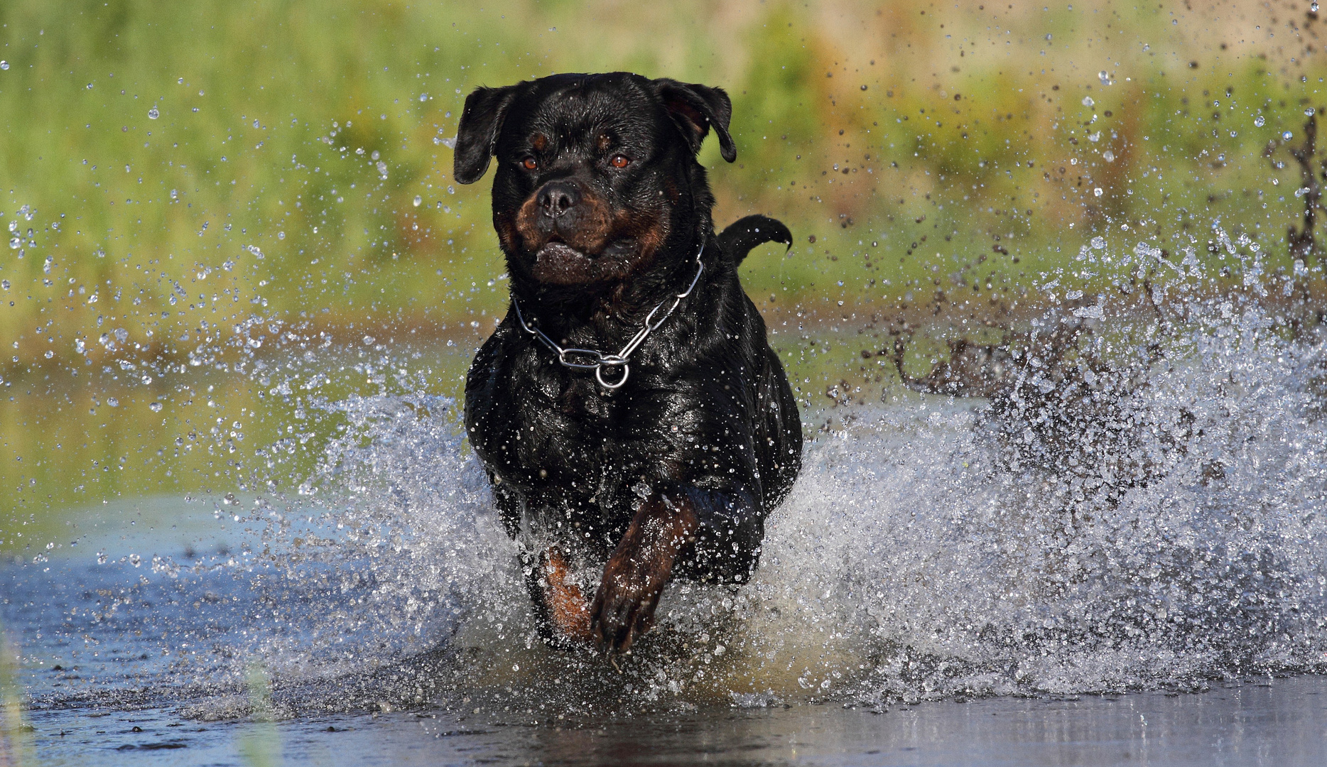 Und wieder ab ans Wasser