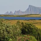 .... und wieder auf den Lofoten