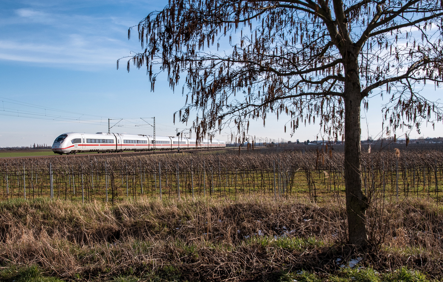 ...und wieder der Velaro