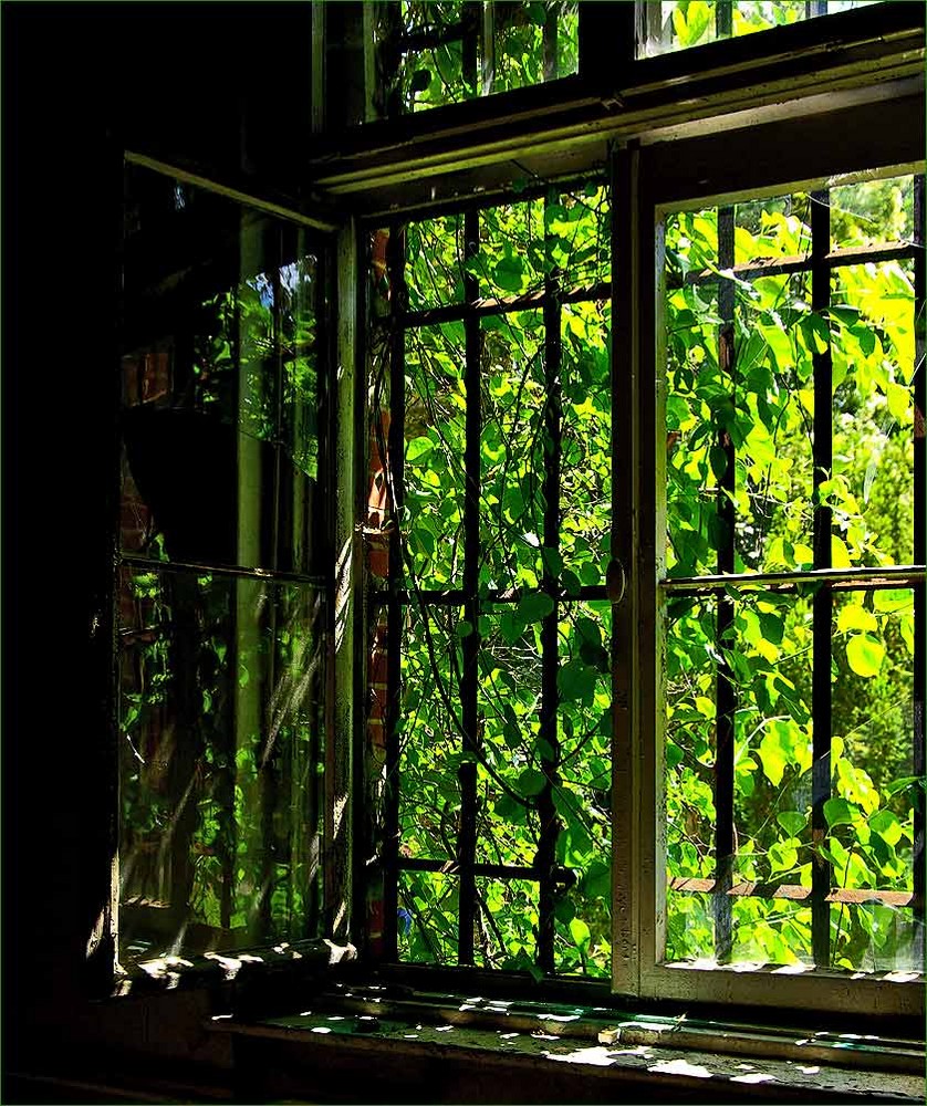 und wieder die Fenster in Beelitz...
