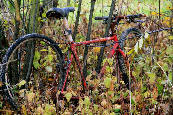 ...und wieder ein Fahrrad gefunden