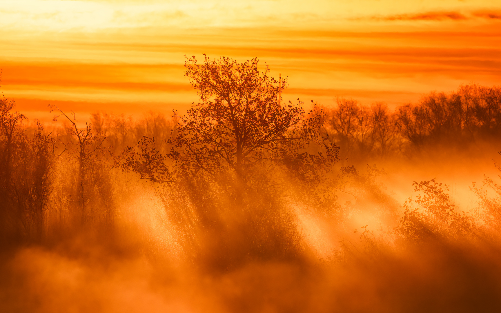 Und wieder ein goldener Morgen - Teil 3