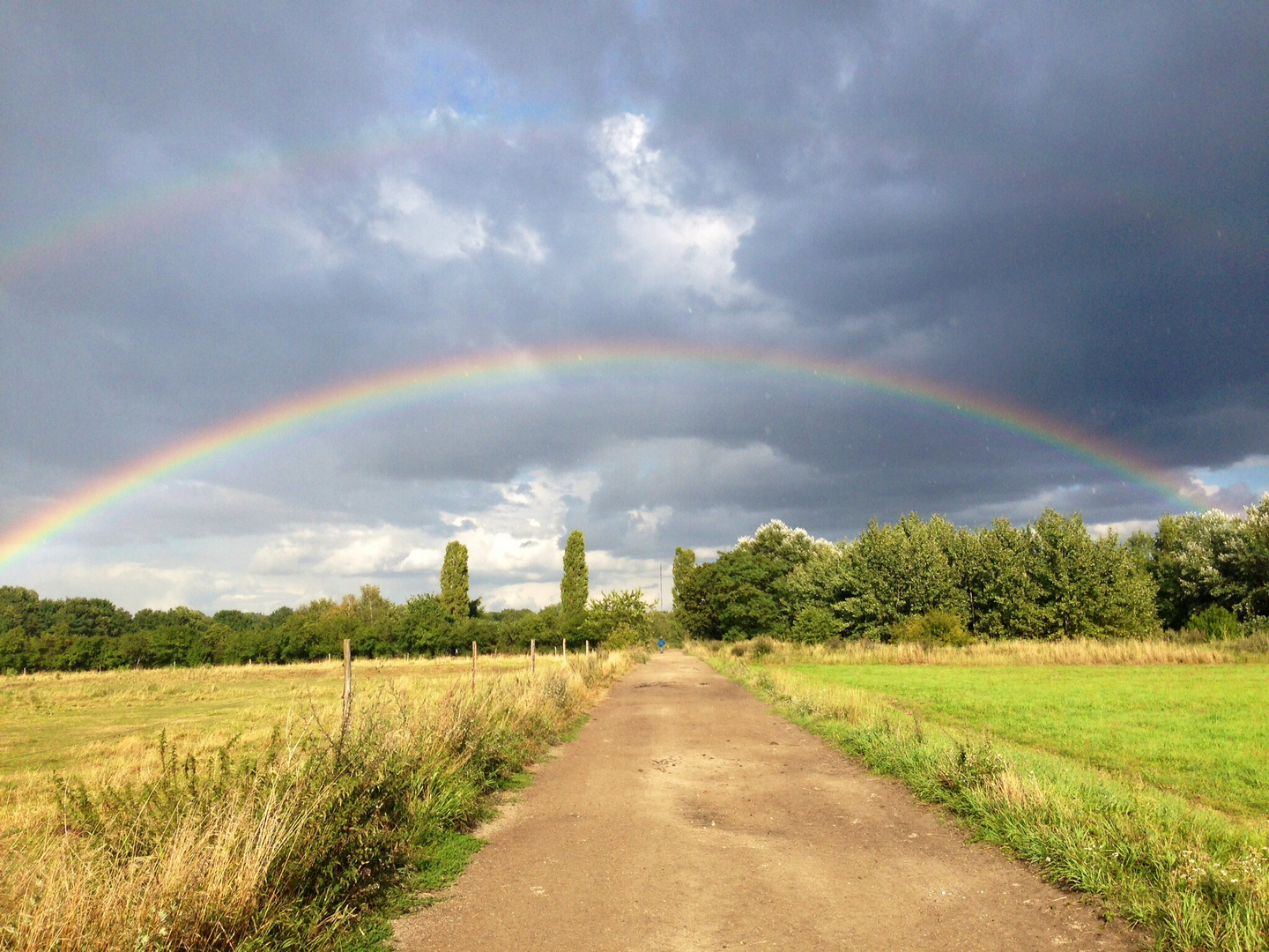 Und wieder ein Regenbogen in den Spandauuer Rieselfeldern