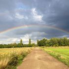 Und wieder ein Regenbogen in den Spandauuer Rieselfeldern