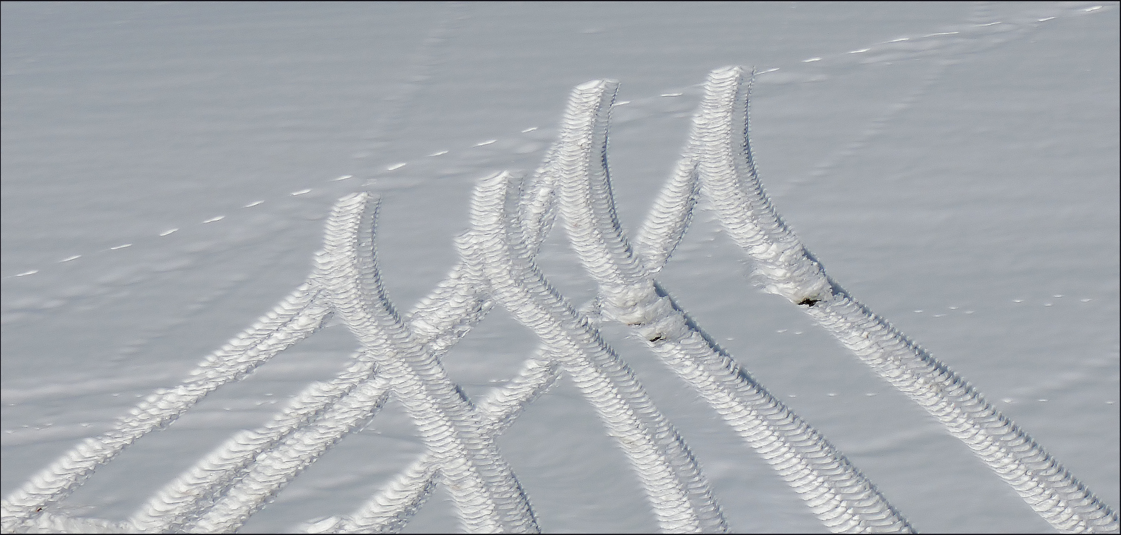 ...und wieder eine Schicht Neuschnee