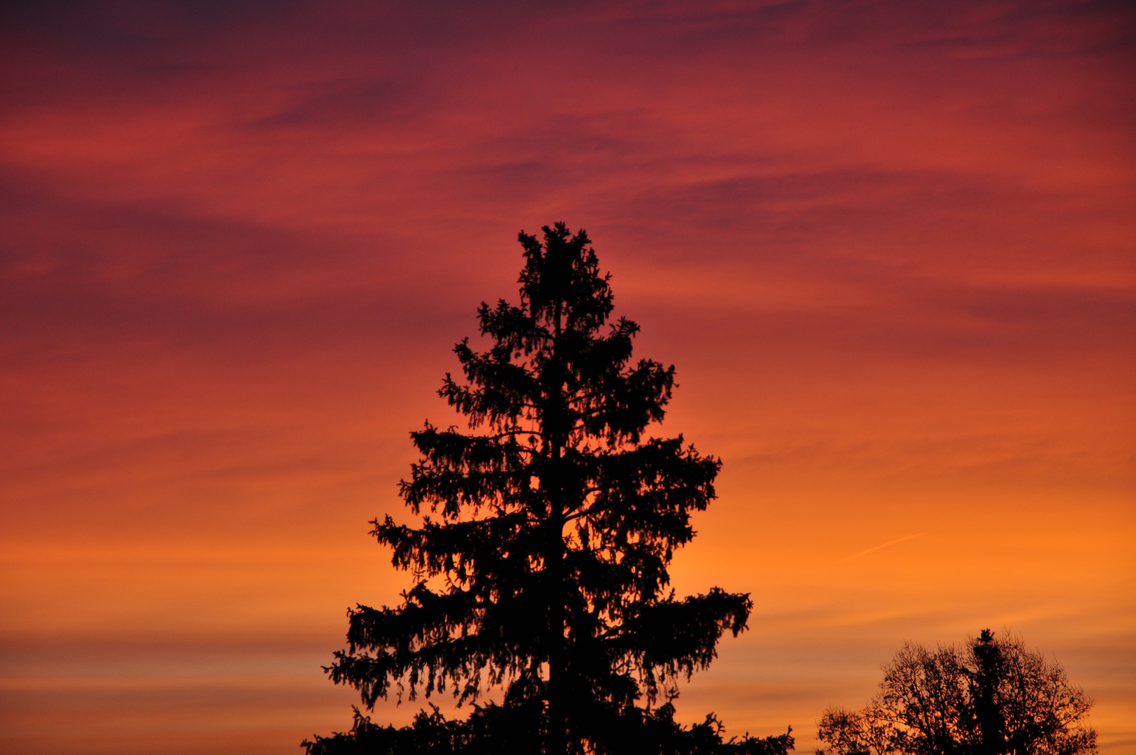 und wieder Feuer am Himmel!