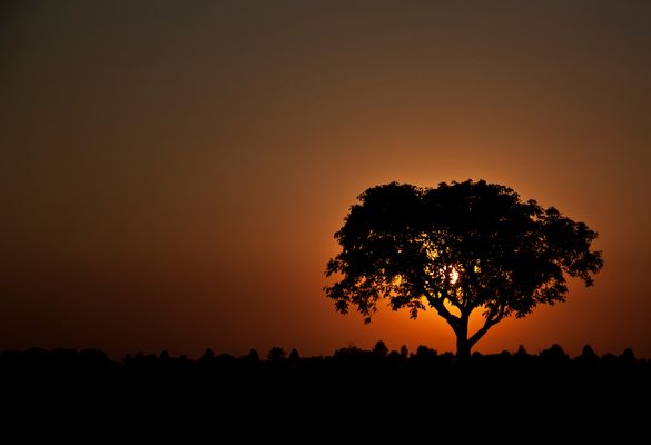 Und wieder geht ein Tag zu Ende