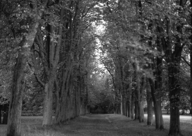 Und wieder im Park von Rauischholzhausen