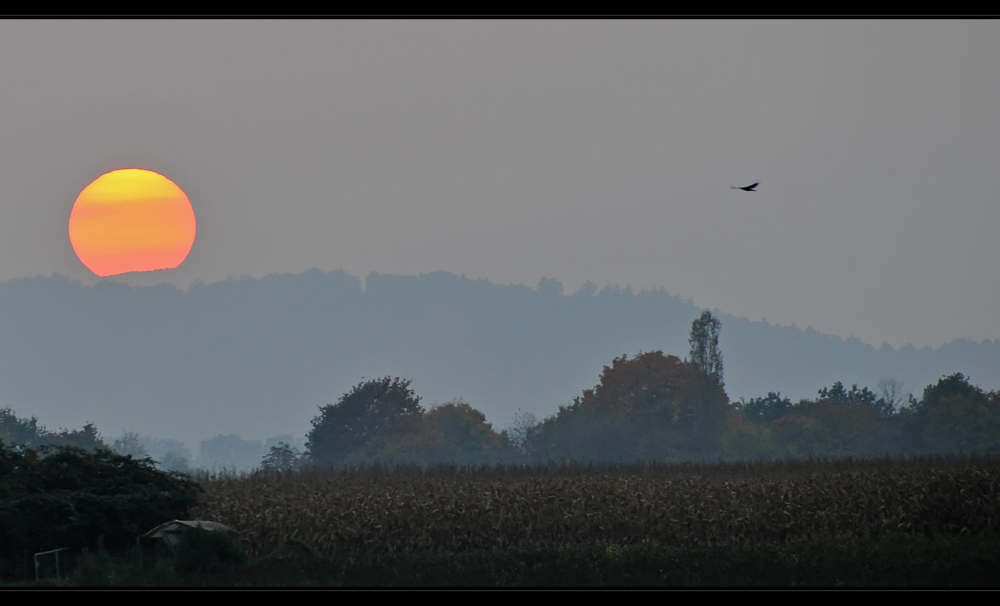 ...und wieder ist ein herbsttag zu ende...