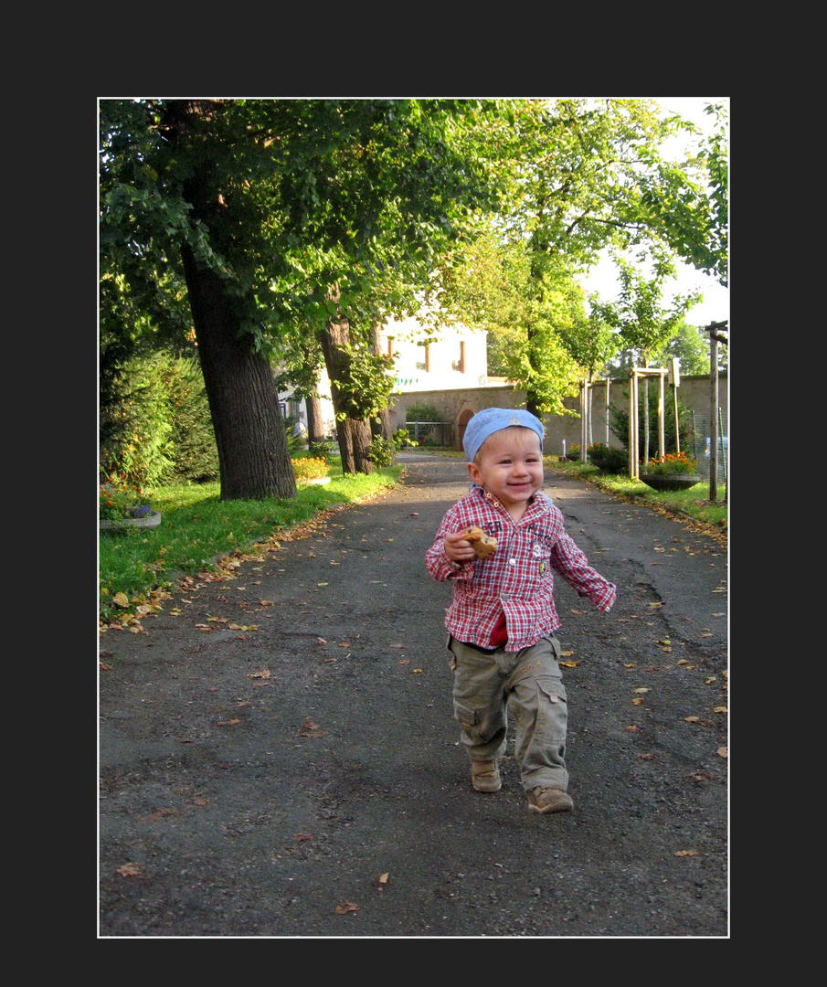 Und wieder ist Herbst