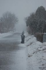 Und wieder kommt der Schnee nach Hiddensee(" März)