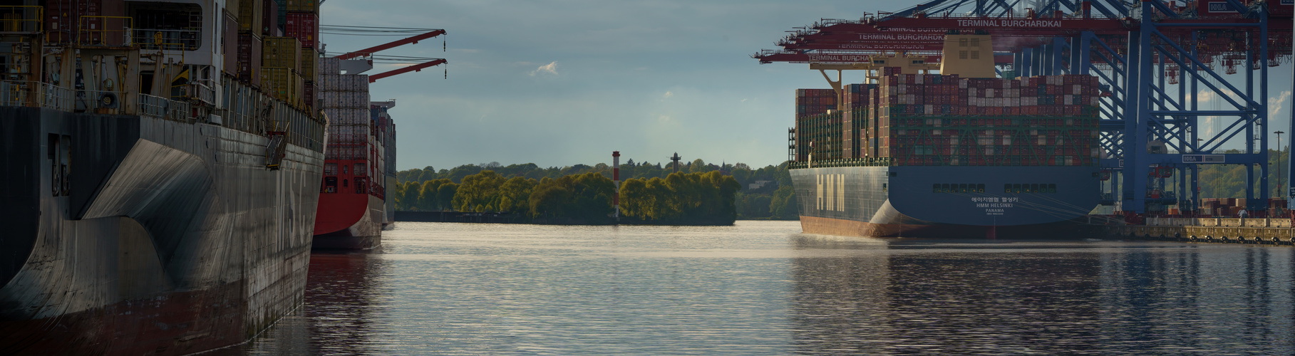 Und wieder mal der Waltershofer Hafen / Burchardkai :-)