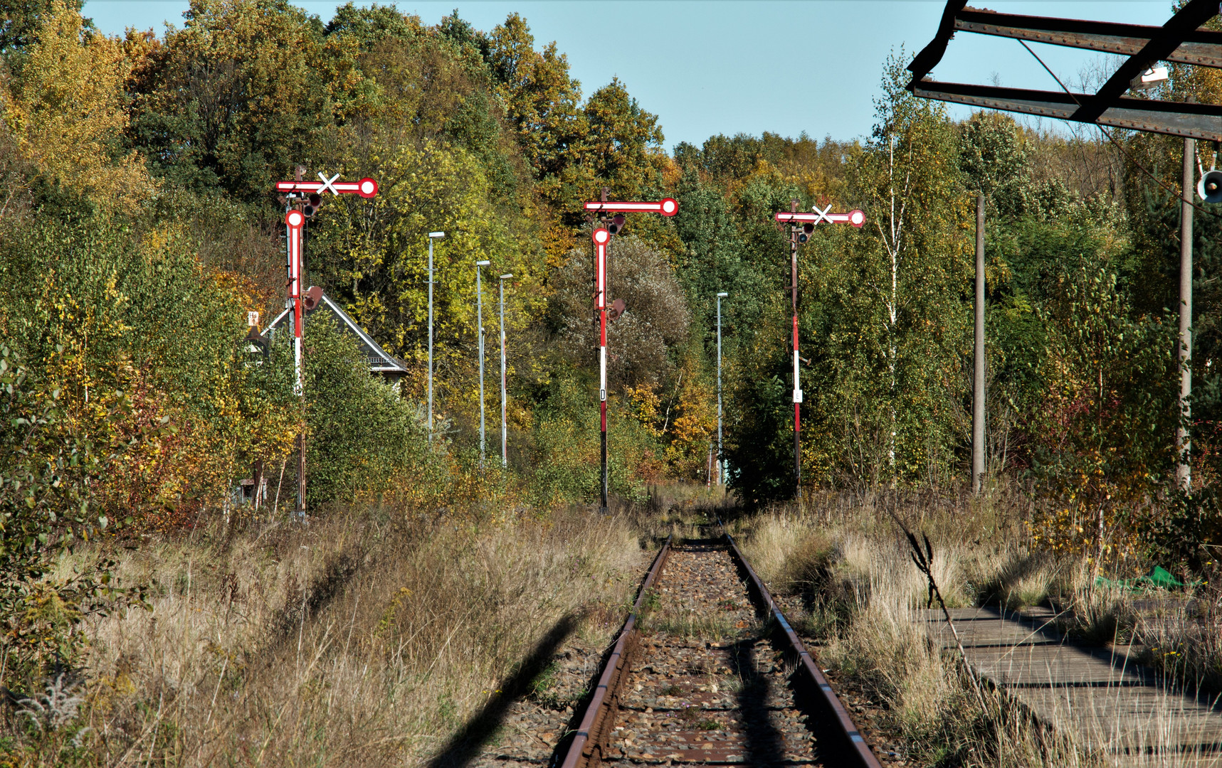 Und wieder wird es Herbst...