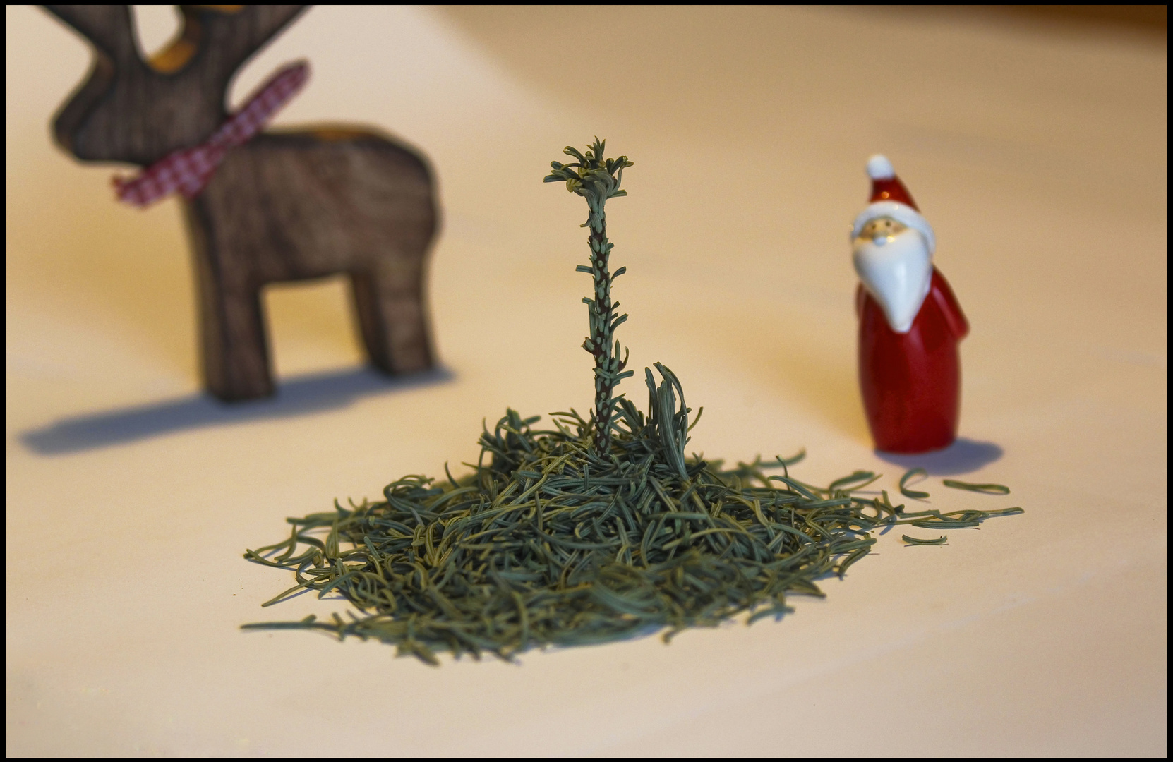 Und wieder wurde ein Baum das Opfer von Weihnachten...