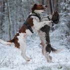 und wir tanzen jetzt die Blutpolka mein Freund!!!