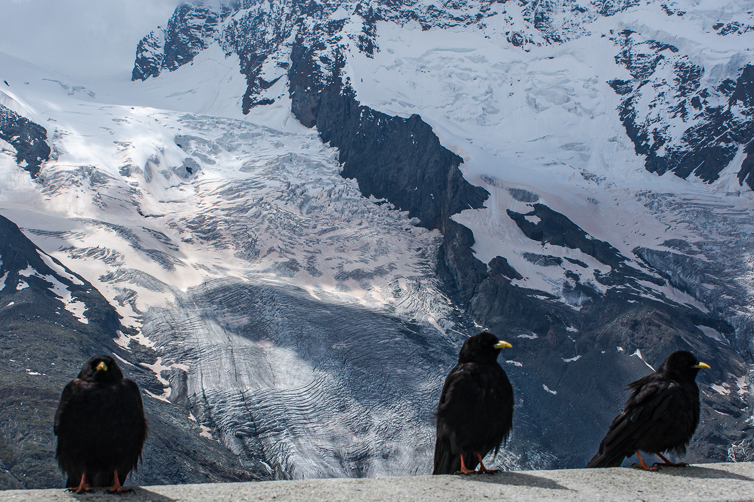 und wo ist jetzt das Matterhorn?