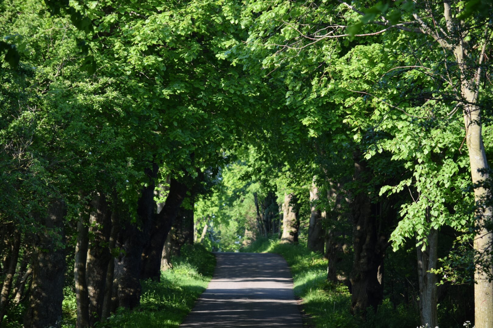 ... und wohin führt der Weg?