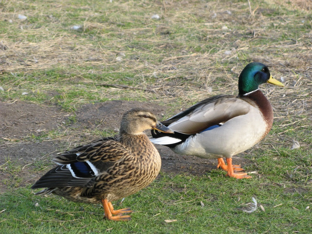 "Und wohin nun?"