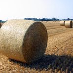 ... und zurück bleiben die Strohballen ...