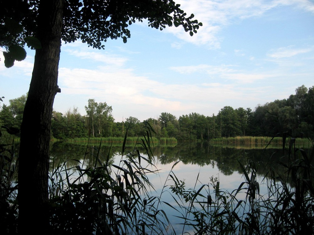 und zwischendurch die schöne Landschaft bewundern