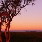 Undara Vulcanic National Park Sunset