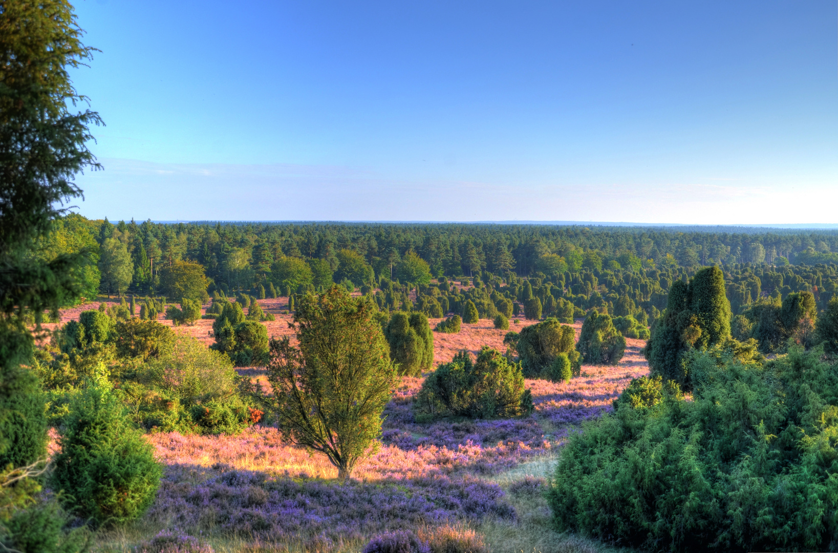 Undeloh in der Heide