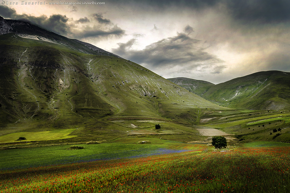 under a threatening sky