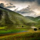 under a threatening sky