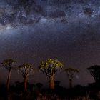 Under African Skies