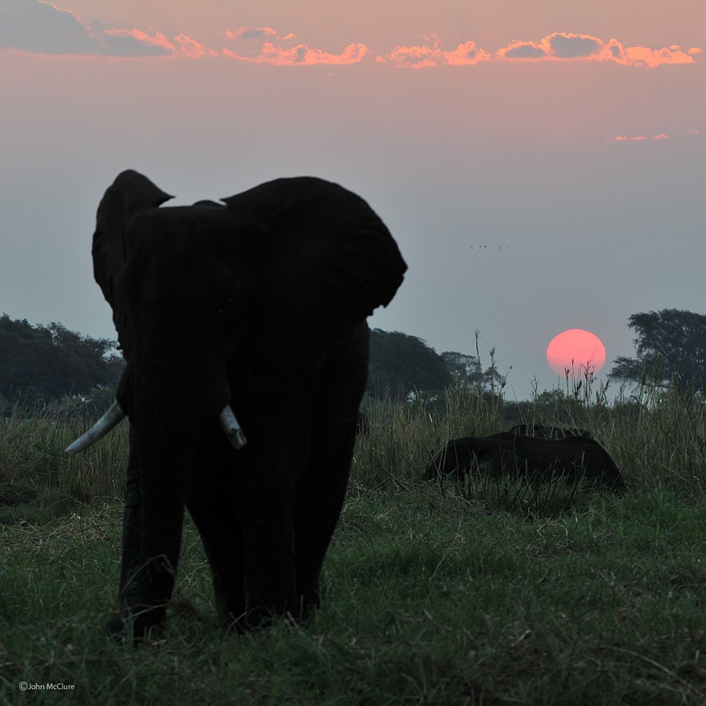 Under an African Sun