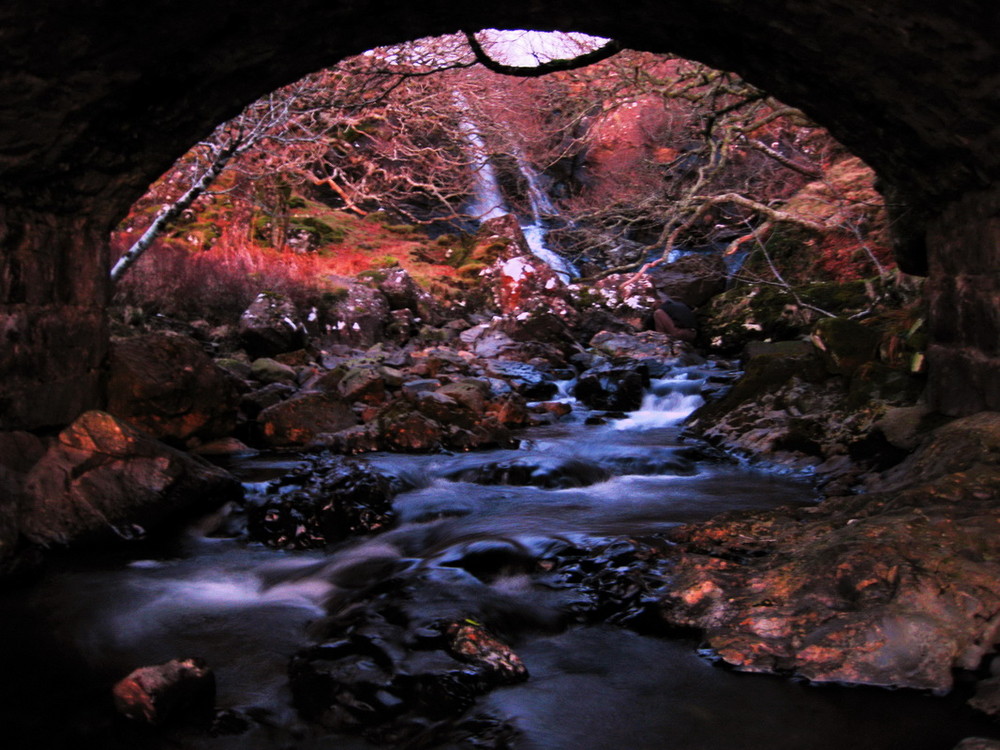 Under bridge