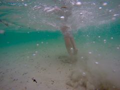 Under clear Water 