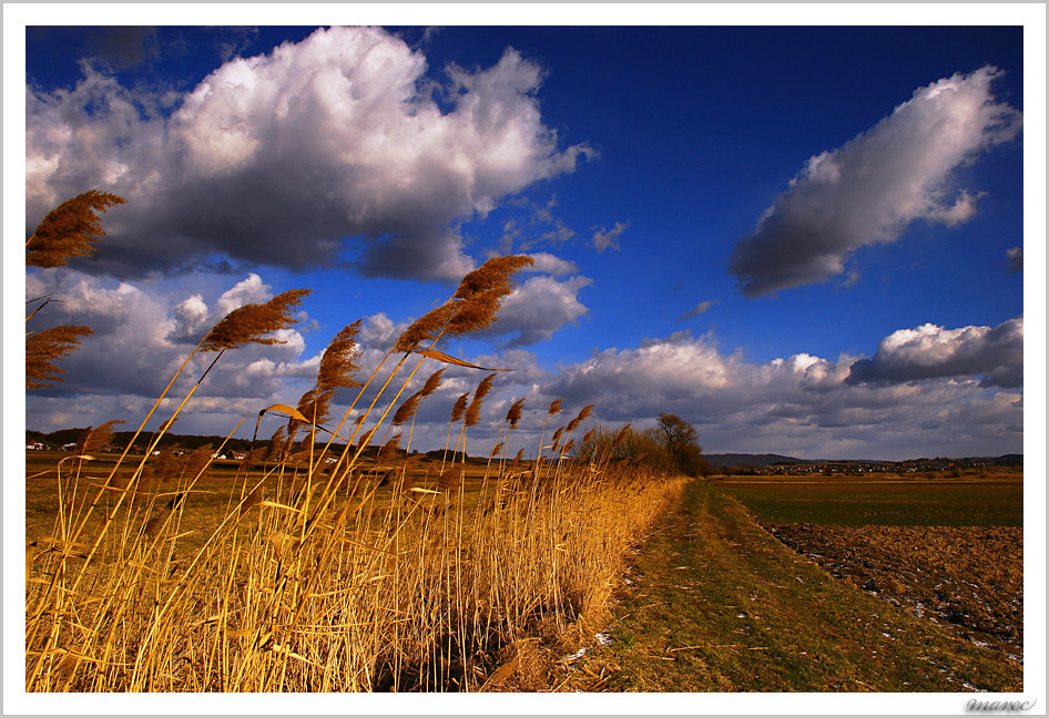 under sky