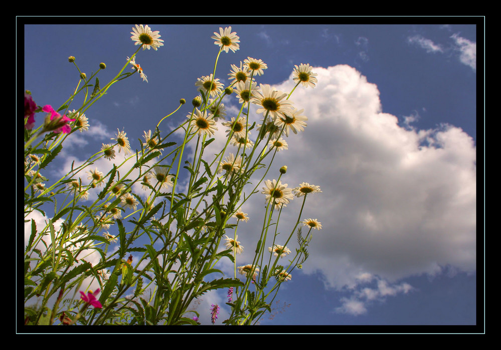 Under sky