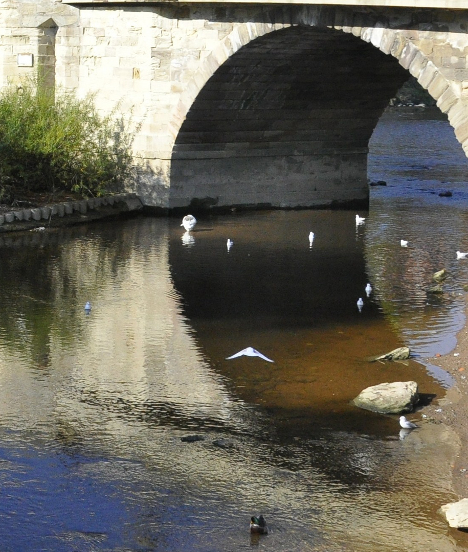 under the arches