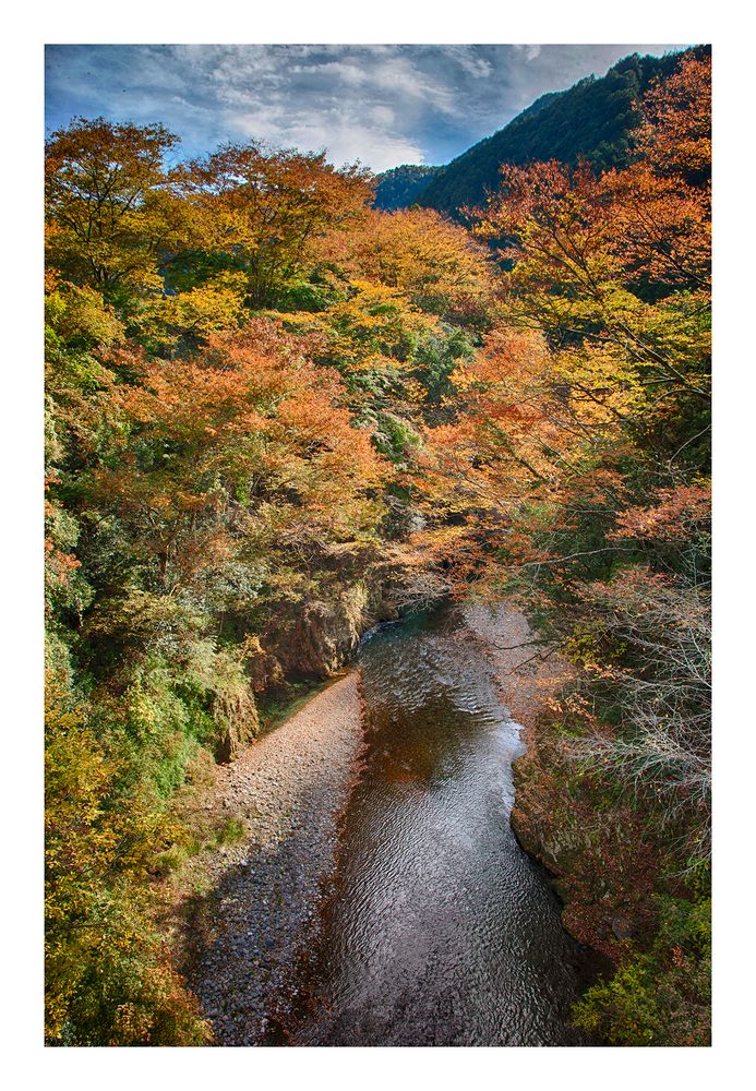 Under the autumn sky 3